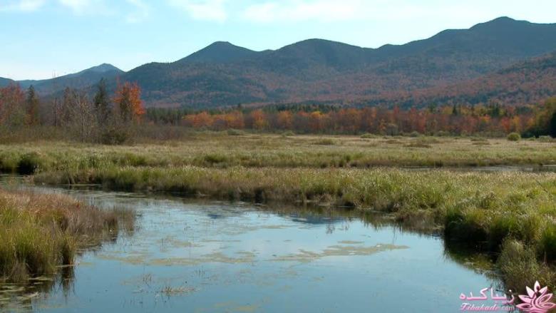 کافه نویسندگان